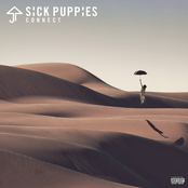 Sick Puppies: Connect