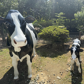 selected indie works 19-24