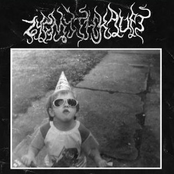 Vreemdeling / Zygmythkaupt