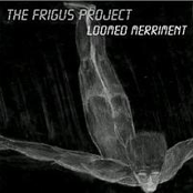 the frigus project