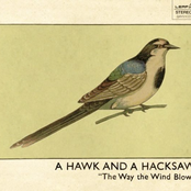 The Sparrow by A Hawk And A Hacksaw