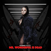 Mr. Wonderful Is Dead