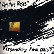 The Wrong Impedence by The Legendary Pink Dots