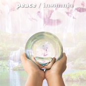 peace / insomnia