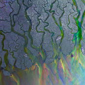 Alt-J: An Awesome Wave