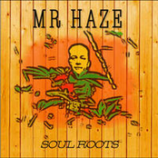 mr haze dub project