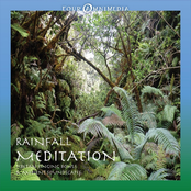 Rainfall Meditation