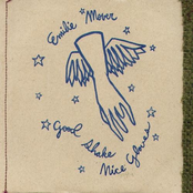 Good Shake Nice Gloves