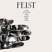 Where Can I Go Without You? by Feist