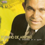 toinho de aripibú