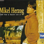 Que Voy a Hacer Sin Ti