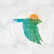 Standing in the Colour