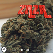 Zaza