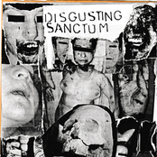Disgusting Sanctum
