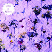 Rule Of Thirds LP