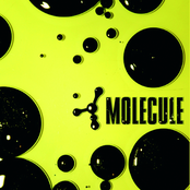Baby by Molecule