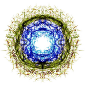 Todos los Cantos, Todos los Corazones