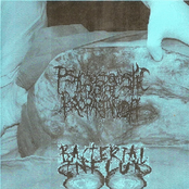 Bacterial Influx/ Psychosadistic Rape Propaganda (Split)