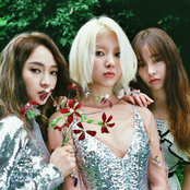 ladies' code