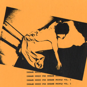 Insane Music For Insane People vol.2