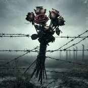 Sadistic Love