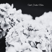 Until Further Notice