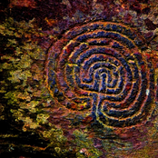 I: Awakening the Ancestors
