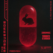 The Masquerade (Zardonic & Toronto Is Broken Remix)