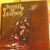 ...And White Will  Turn Into a Shadow