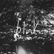 Blink