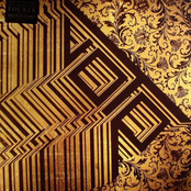 Space And The Woods / Focker