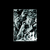 S/T