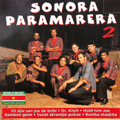Sonora Paramarera 2