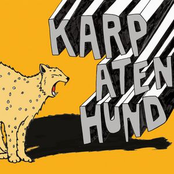 Karpatenhund 3