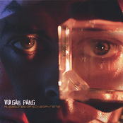 Pleasures of Schizophrenia