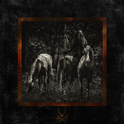 Blackbraid: Warriors