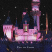 NOW OR NEVER​.​.​.