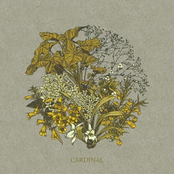 CARDINAL - EP