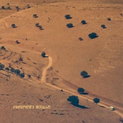 Nocturnal Consolations