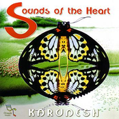 Sounds Of The Heart Ii by Karunesh