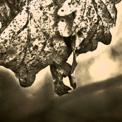 Together In This Merciful Dark