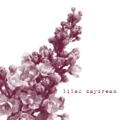lilac daydream