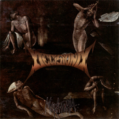 Birth Of Cadaver by Decision D