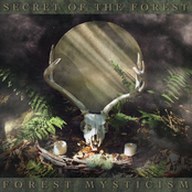 Forest Mysticism