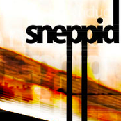 Sneppid