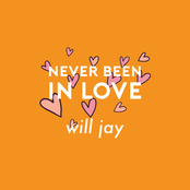 Never Been In Love - Single