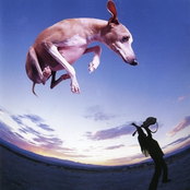 Paul Gilbert: Flying Dog