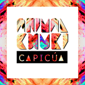 Capicúa