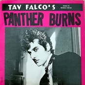 Blind Man by Tav Falco's Panther Burns