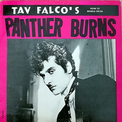 Where The Rio De Rosa Flows by Tav Falco's Panther Burns